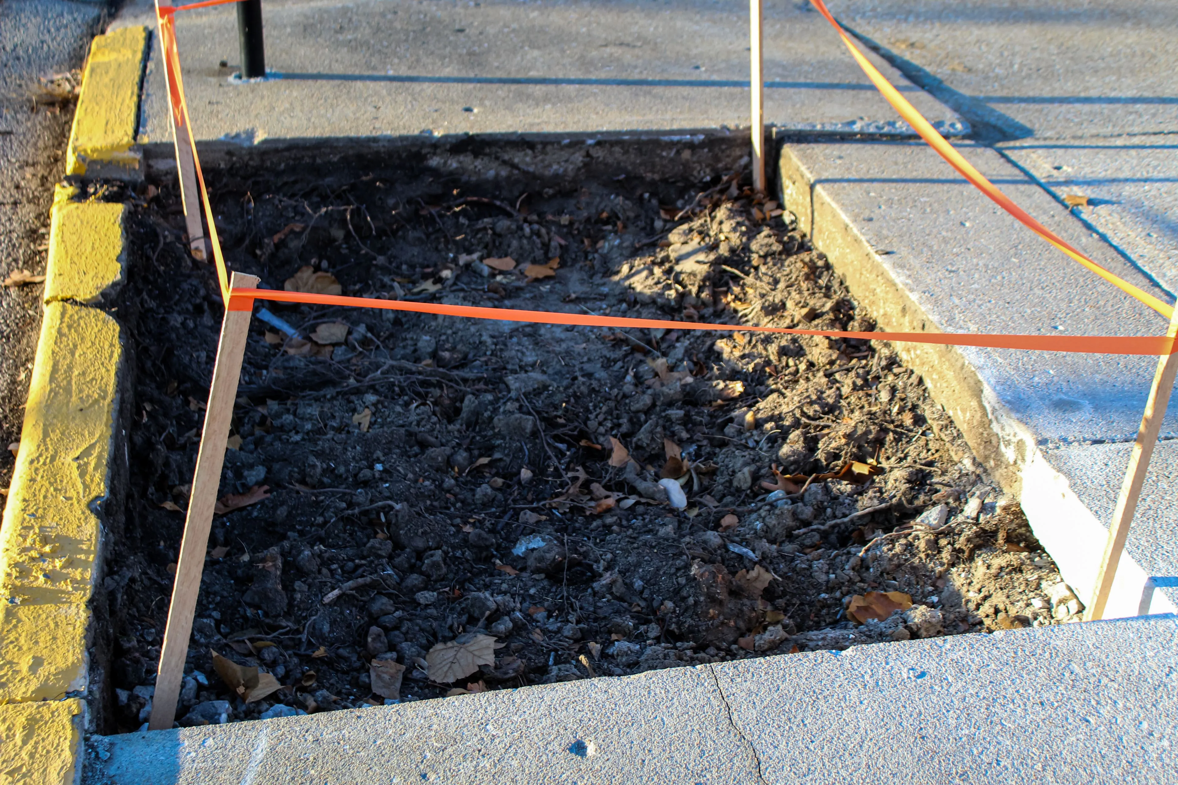 Cracked Asphalt Section before removal in Dallas